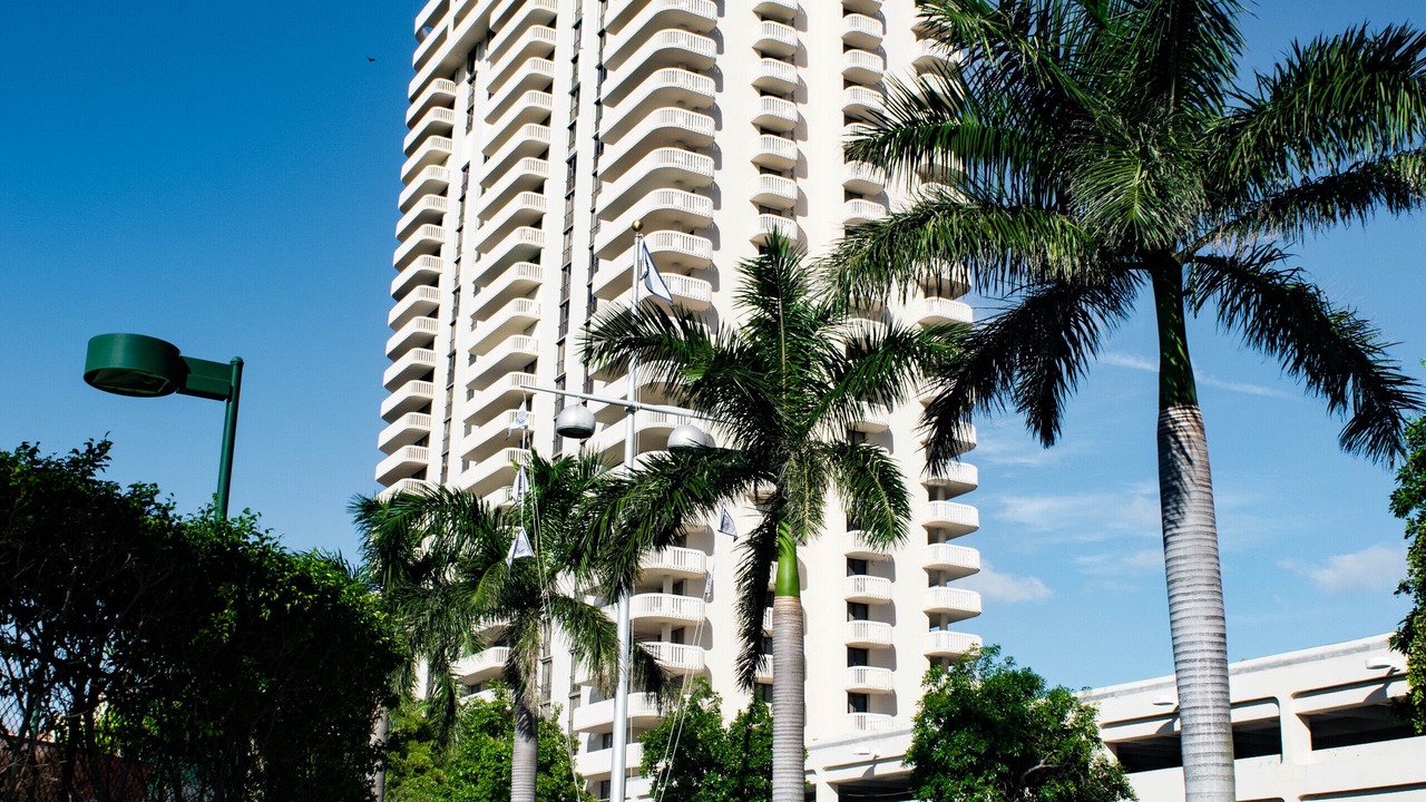 Photo of Others in Aventura