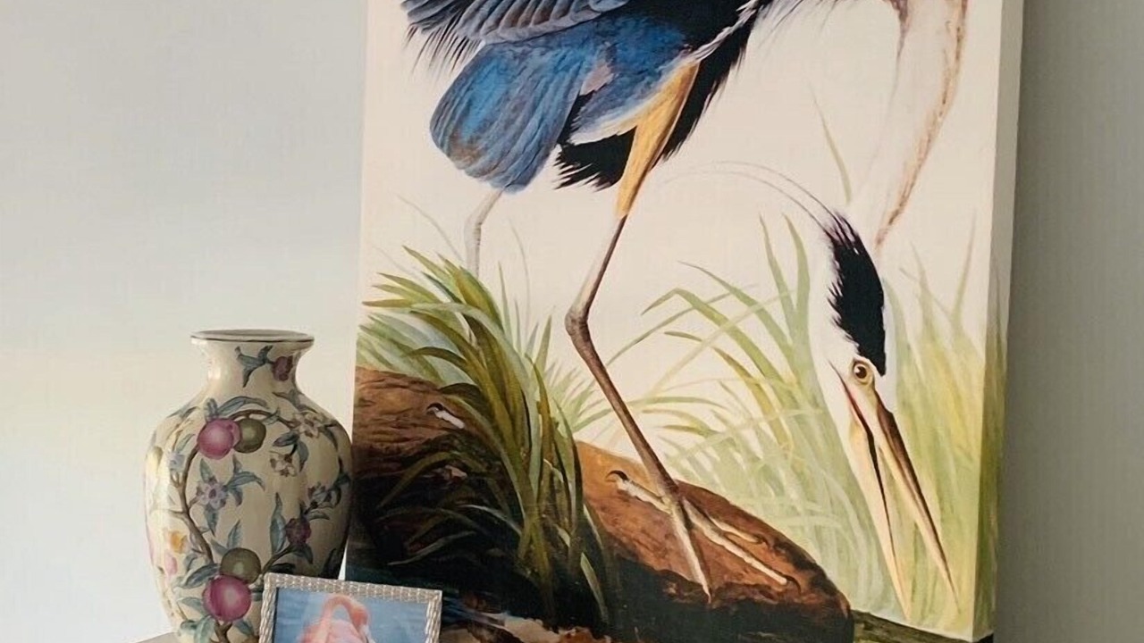 Photo of Others in Aventura