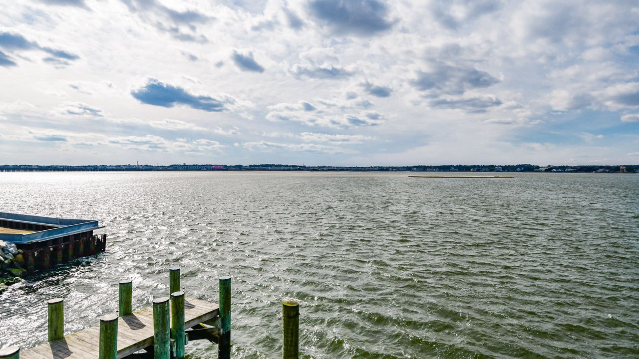 Photo of Others in Ocean City