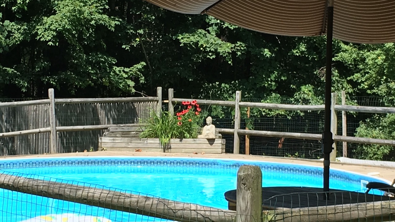 Photo of Others in Woodstock