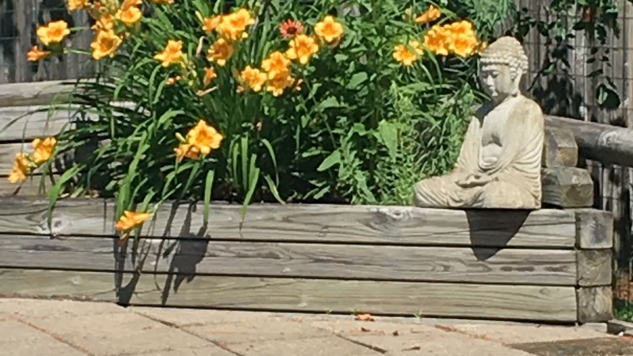 Photo of Outdoor in Woodstock