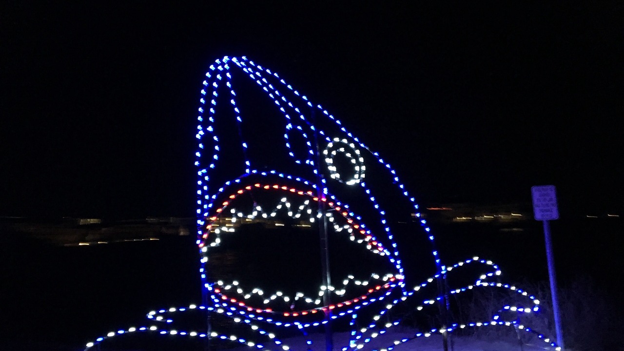 Photo of Others in North Ocean City
