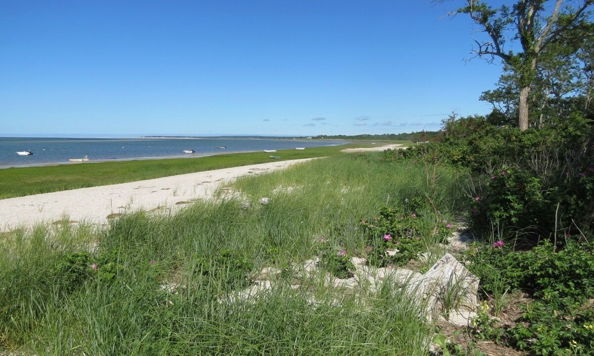 Photo of Others in Barnstable