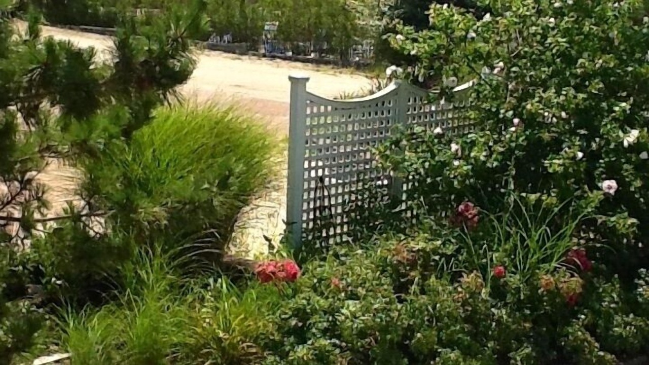 Photo of Outdoor in Loveladies