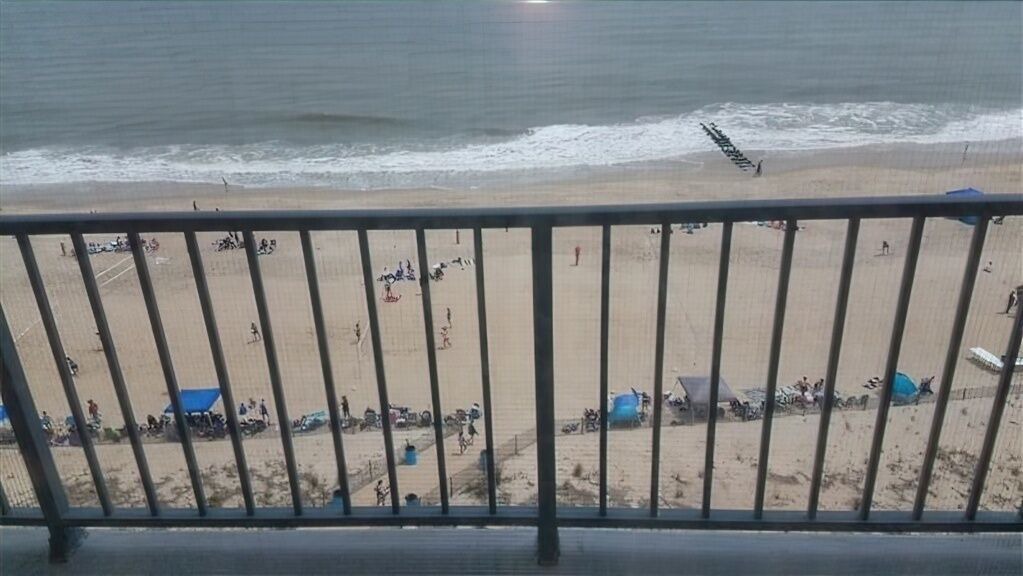 Photo of Others in South Rehoboth