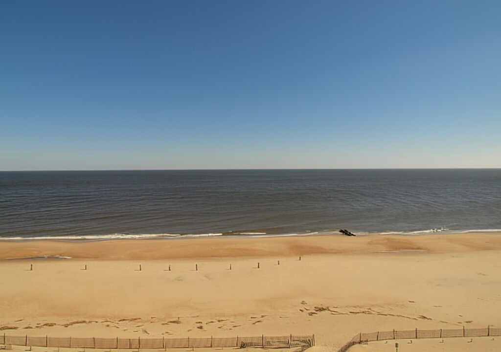 Photo of Others in South Rehoboth