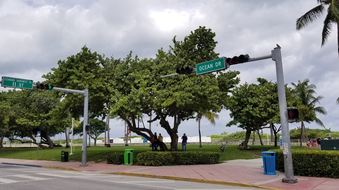 Photo of Others in South Beach