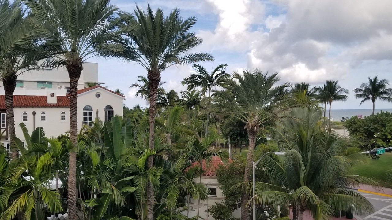 Photo of Others in South Beach