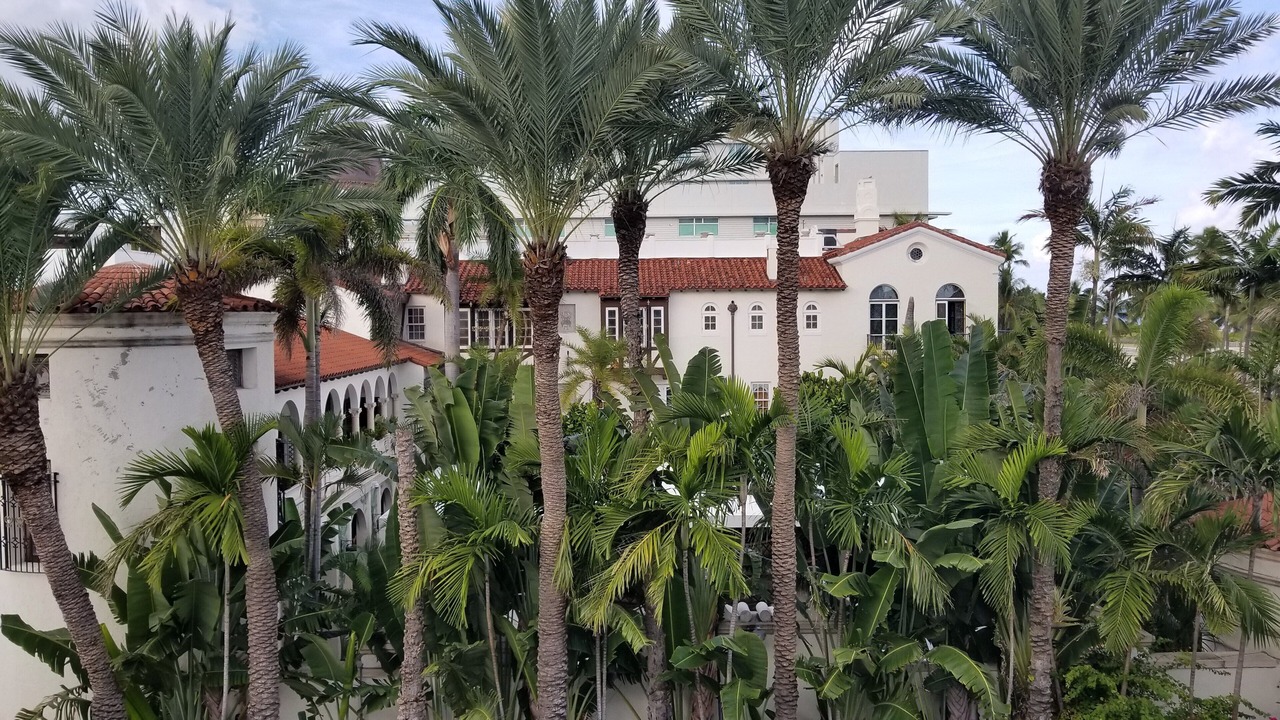 Photo of Others in South Beach