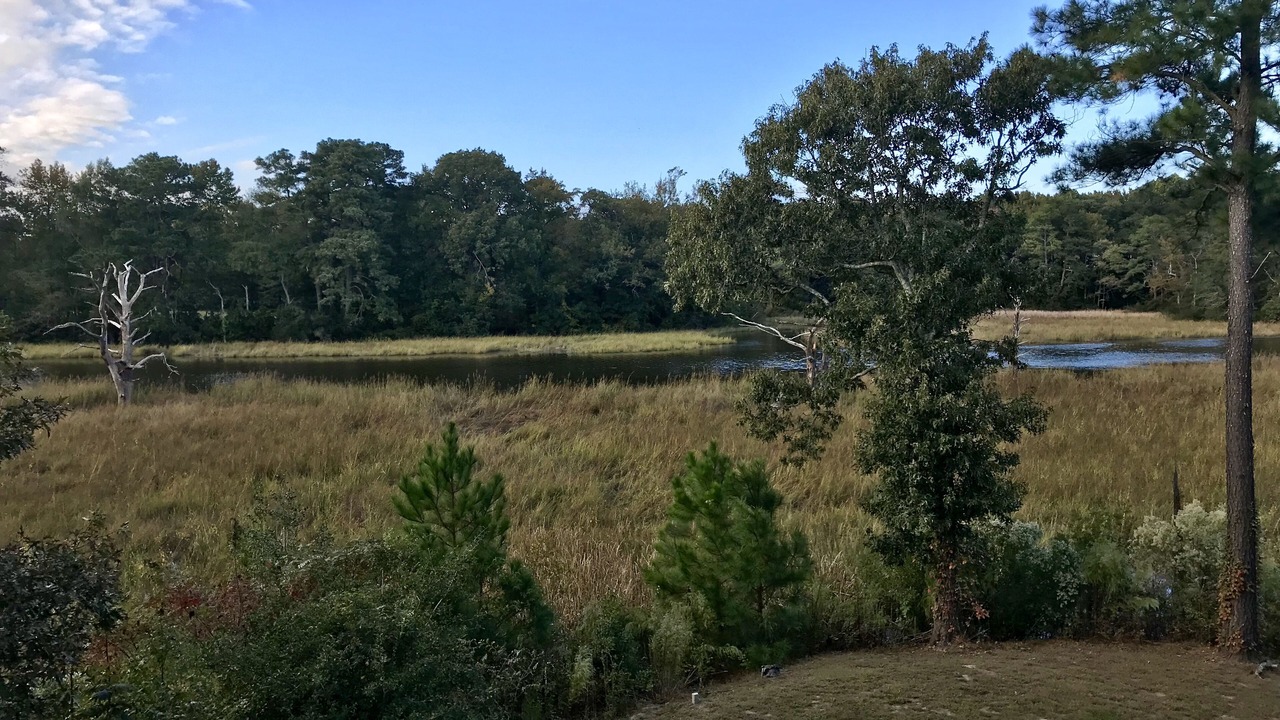 Photo of Outdoor in Princess Anne