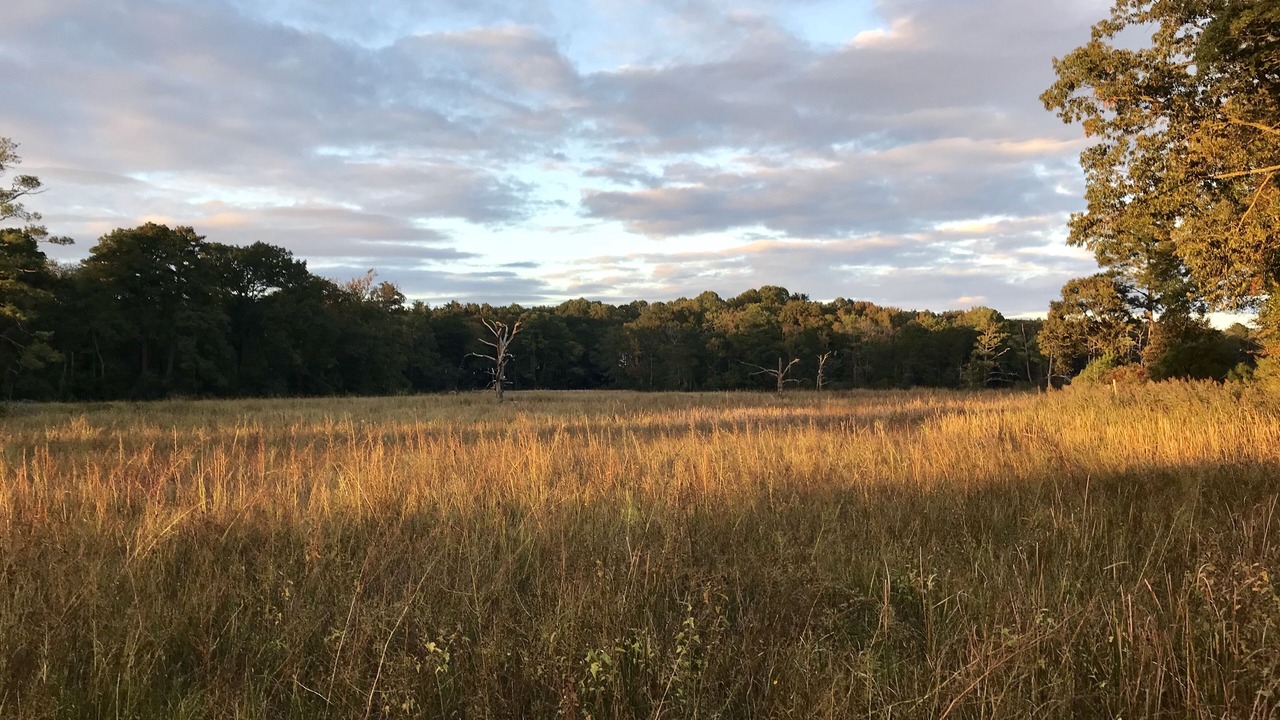 Photo of Outdoor in Princess Anne