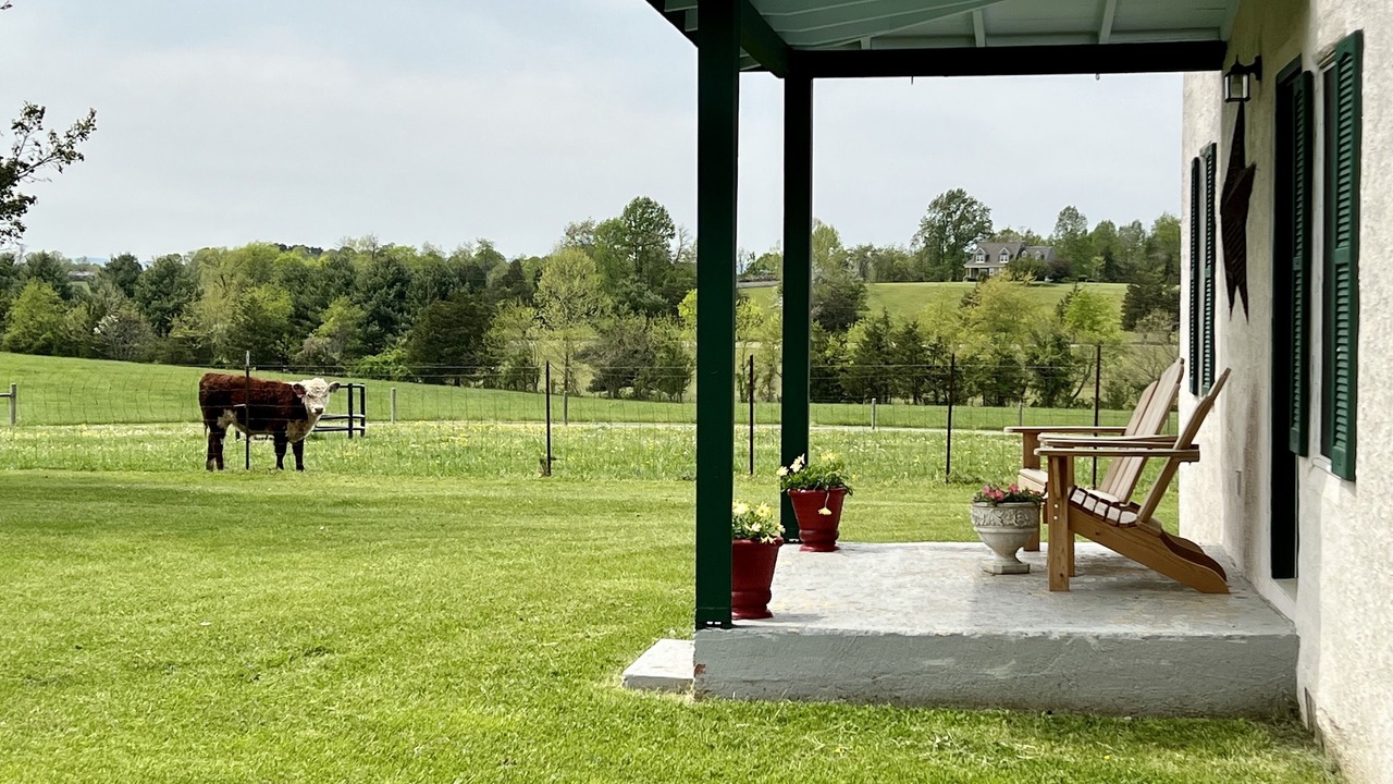 Photo of Patio Balcony in Culpeper