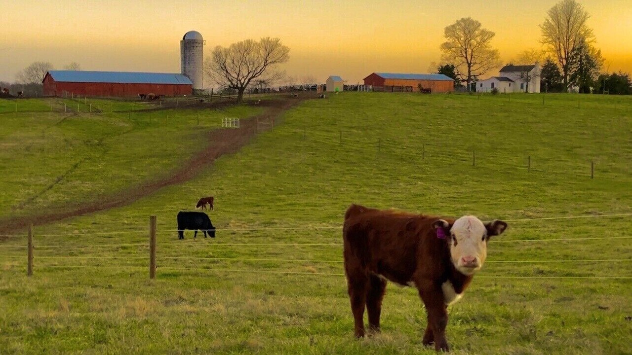 Photo of Outdoor in Culpeper