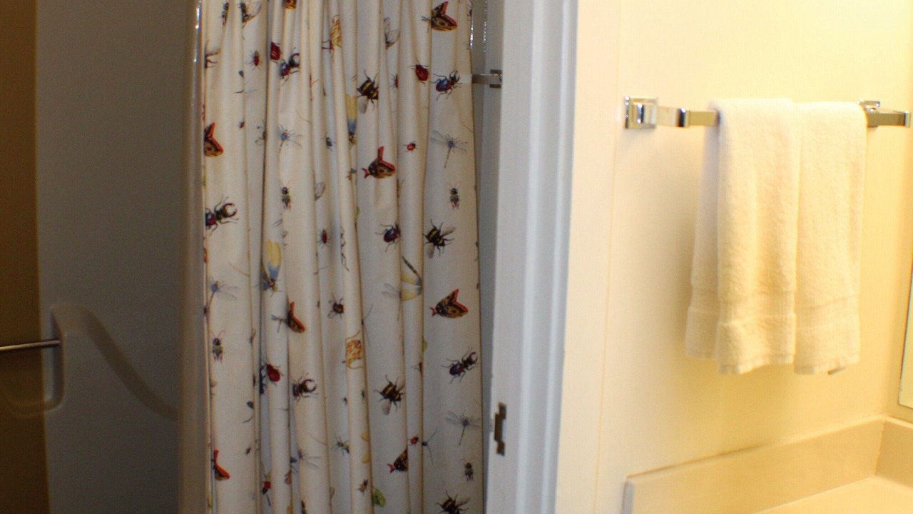 Photo of Bathroom in Nellysford