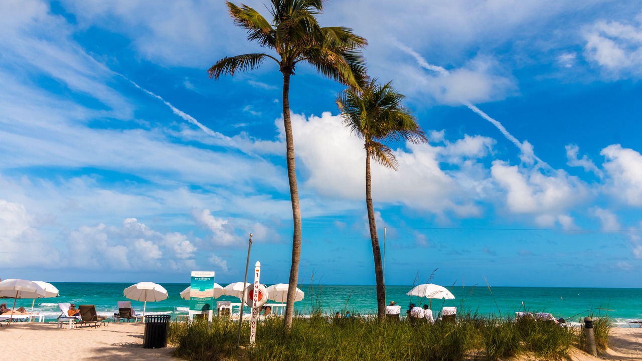 Photo of Others in Bal Harbour