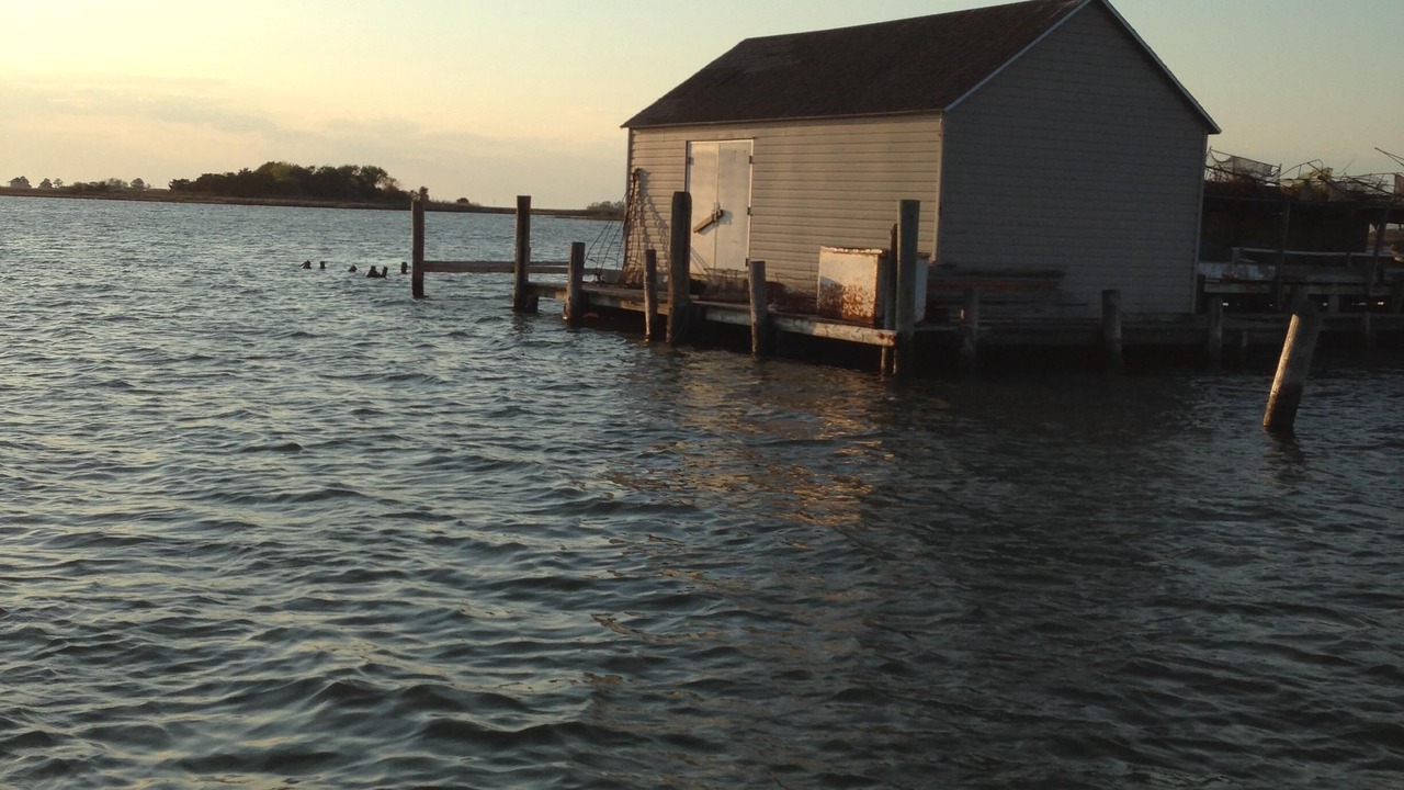 Photo of Others in Smith Island
