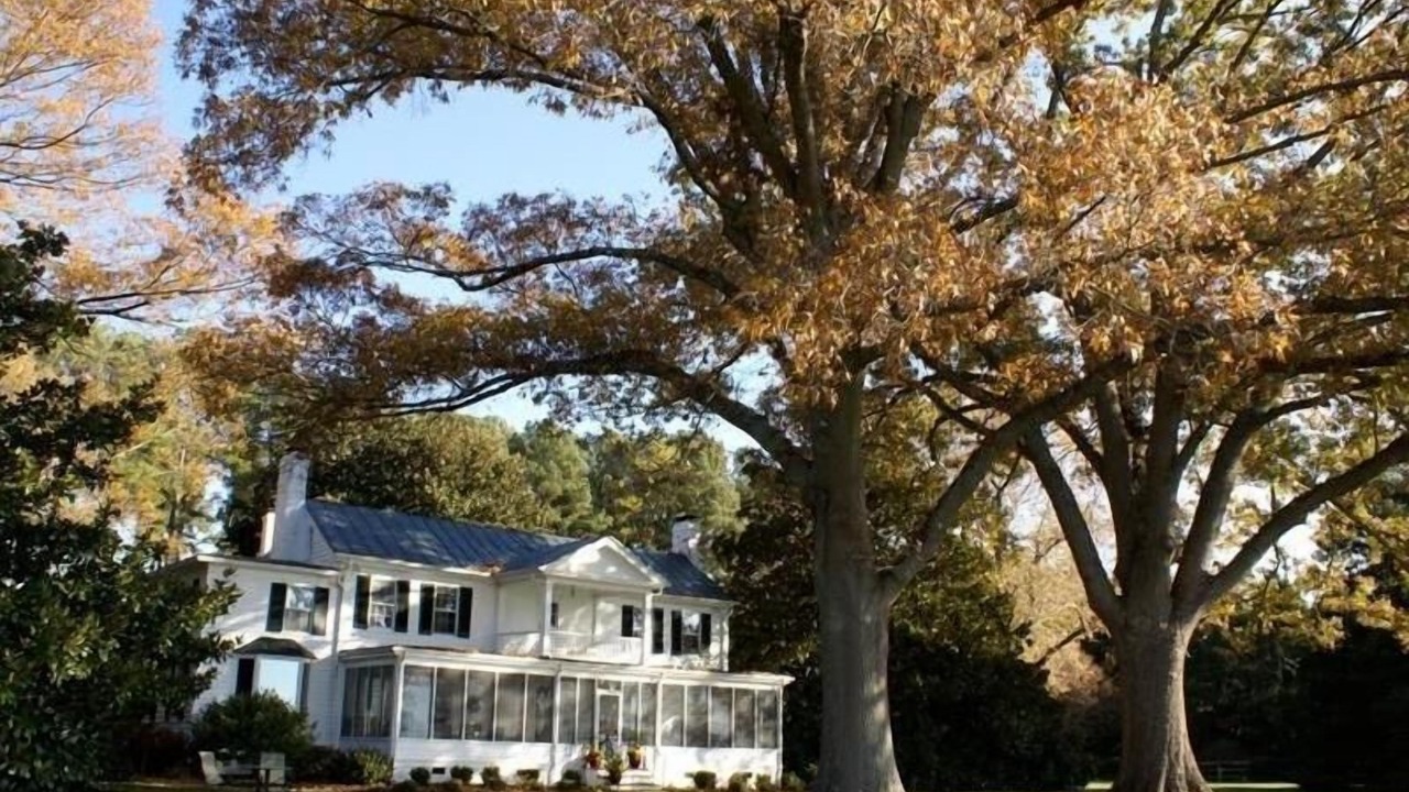 Photo of Outdoor in White Stone