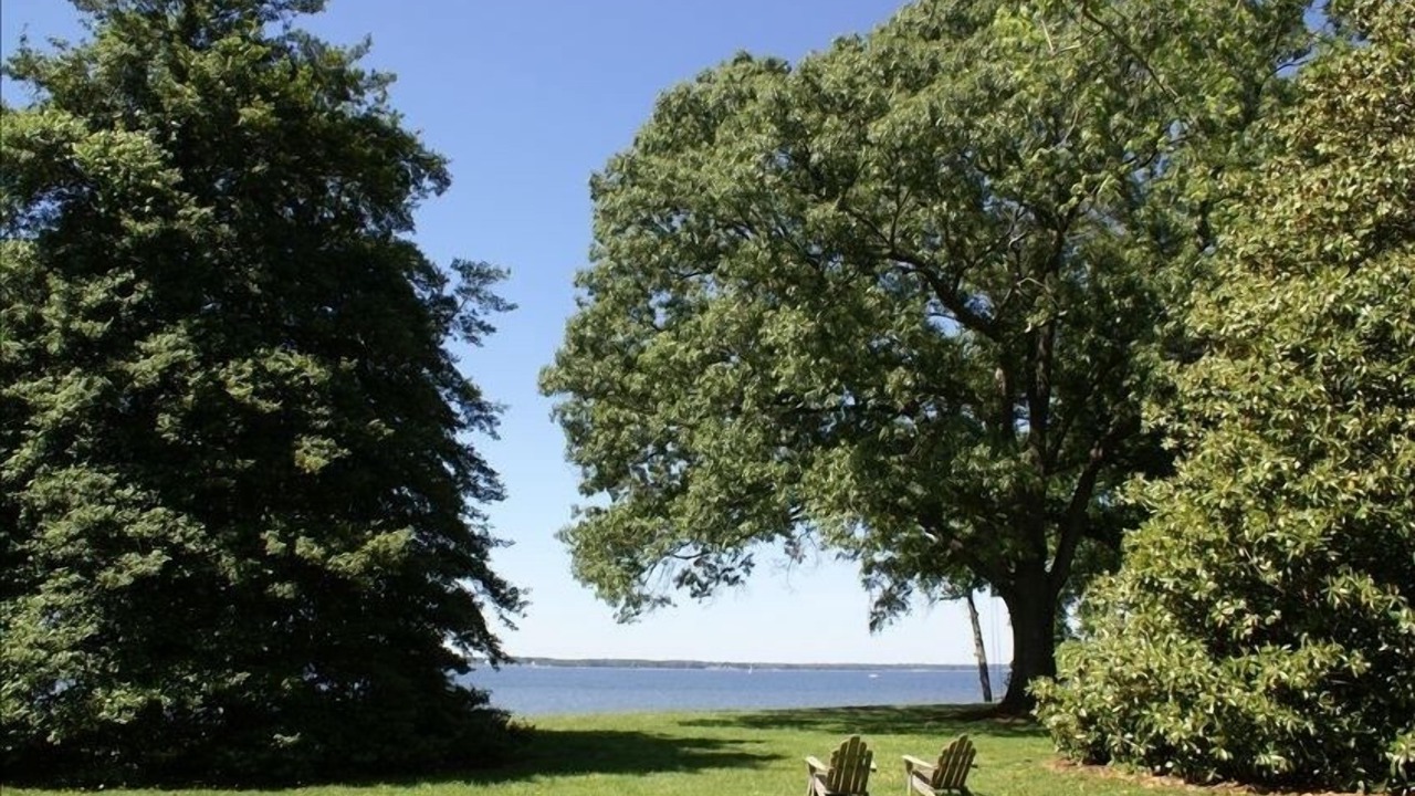 Photo of Outdoor in White Stone