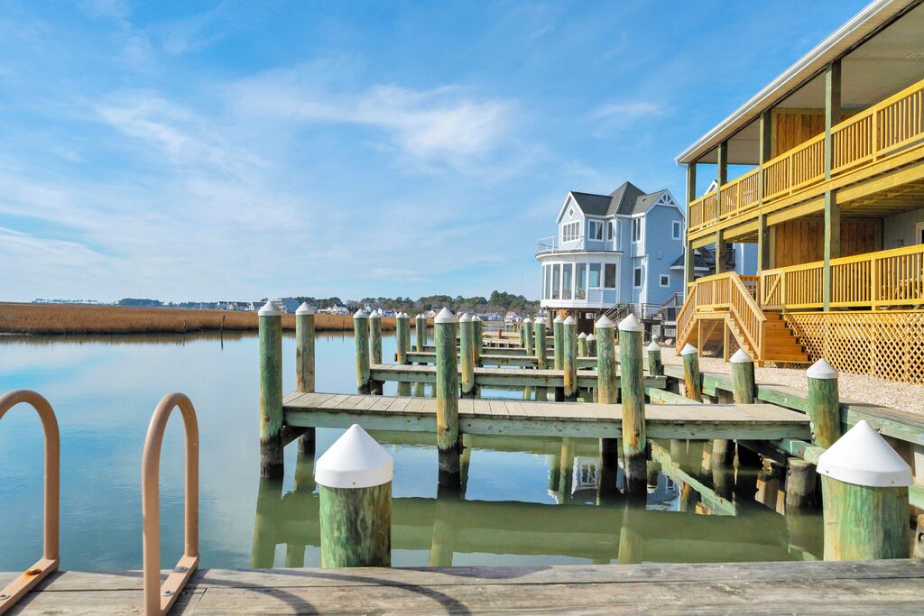 Photo of Others in Chincoteague