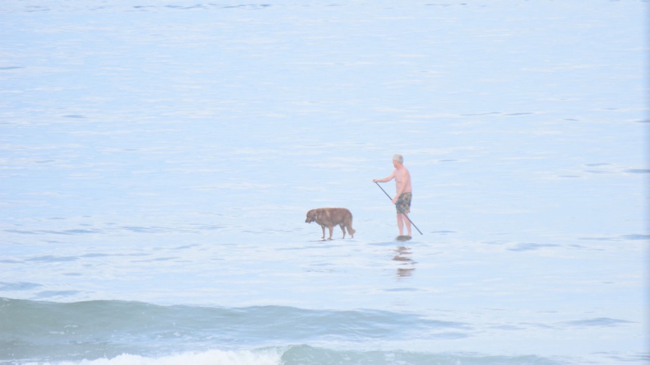 Photo of Others in South End