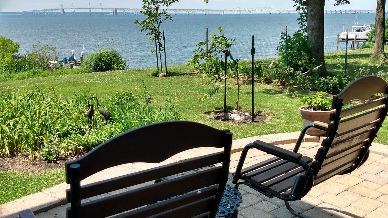 Photo of Outdoor in Stevensville