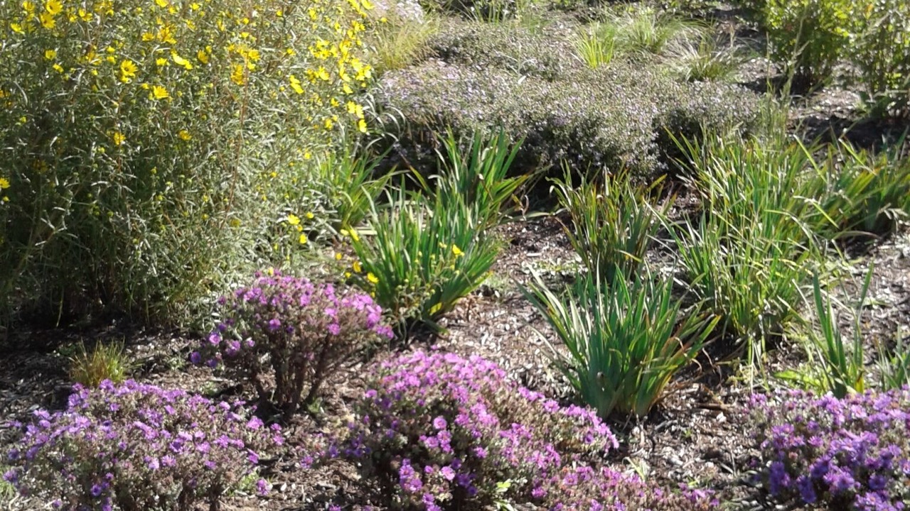 Photo of Outdoor in Stevensville