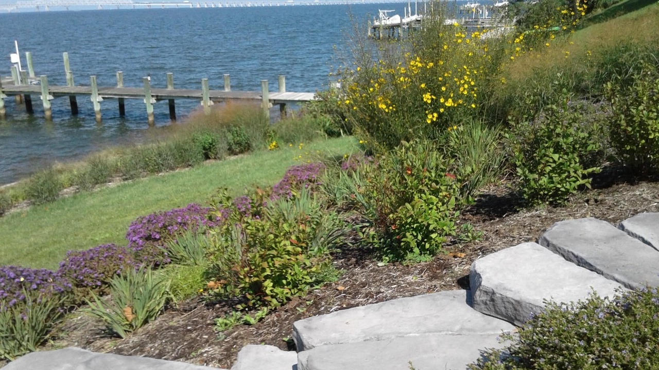 Photo of Outdoor in Stevensville