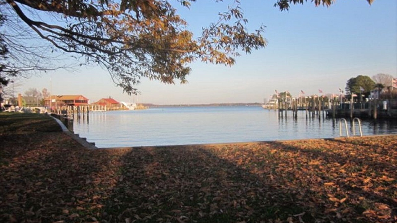 Photo of Others in St. Michaels