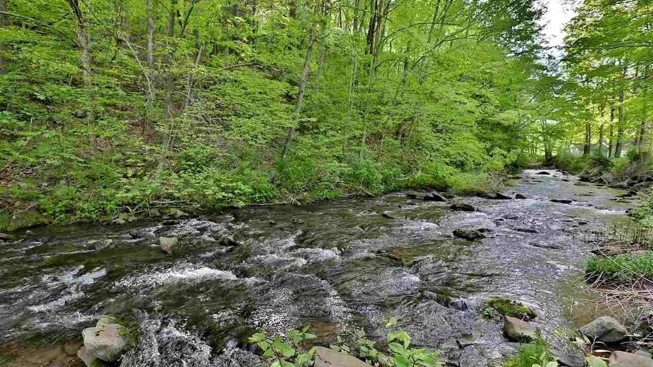 Photo of Outdoor in Pine Hill