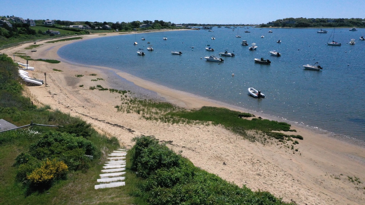 Photo of Others in Chatham