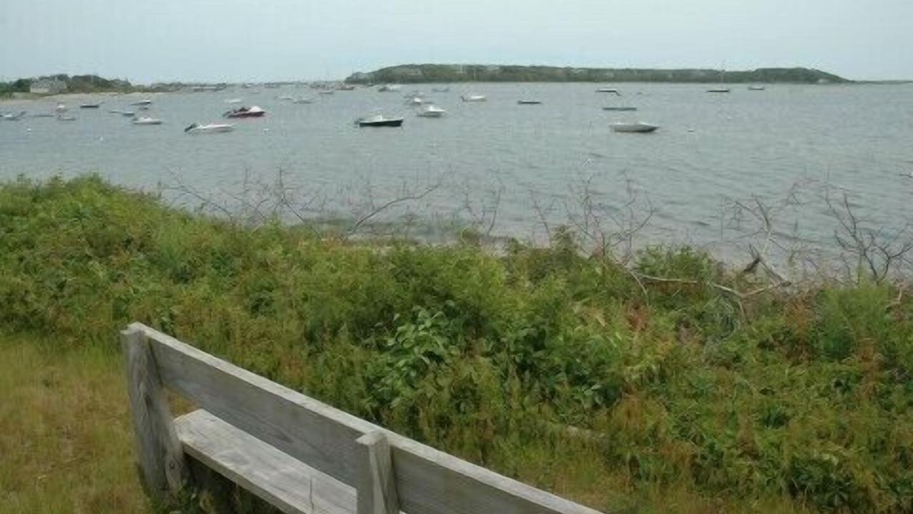 Photo of Others in Chatham