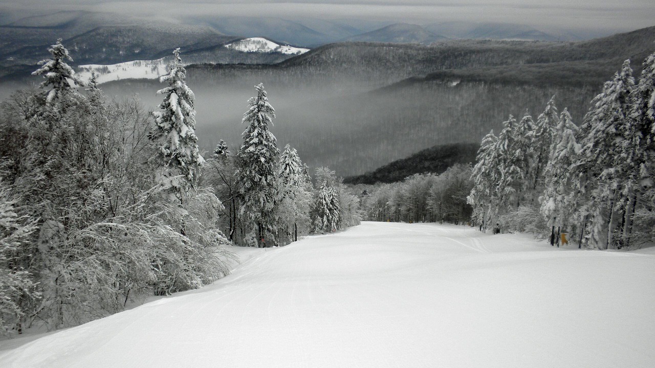 Photo of Others in Edray