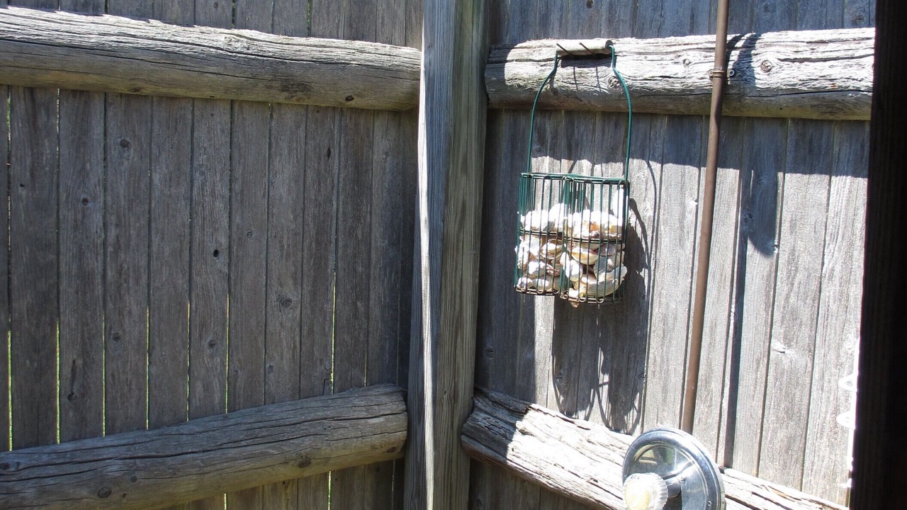 Photo of Outdoor in East Orleans