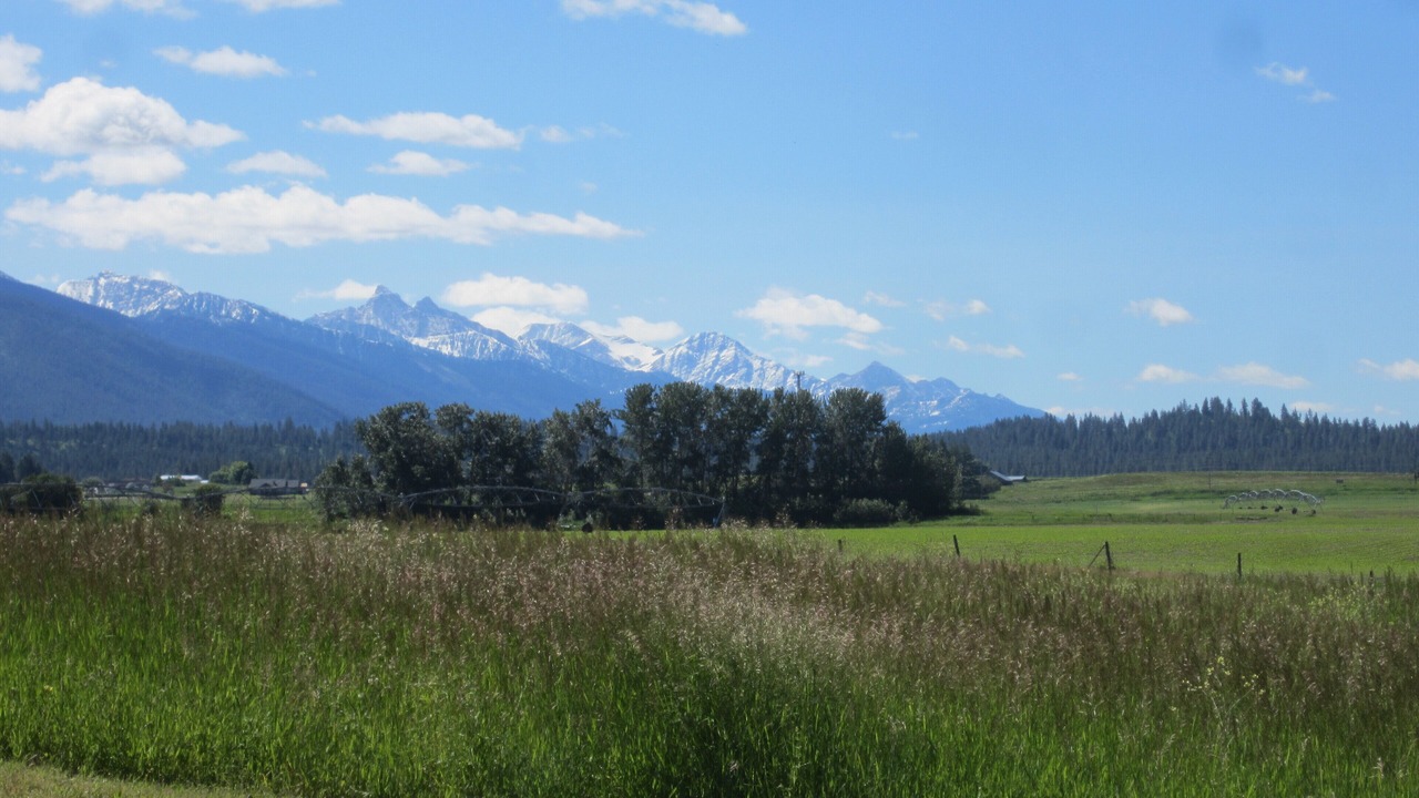 Photo of Others in Polson