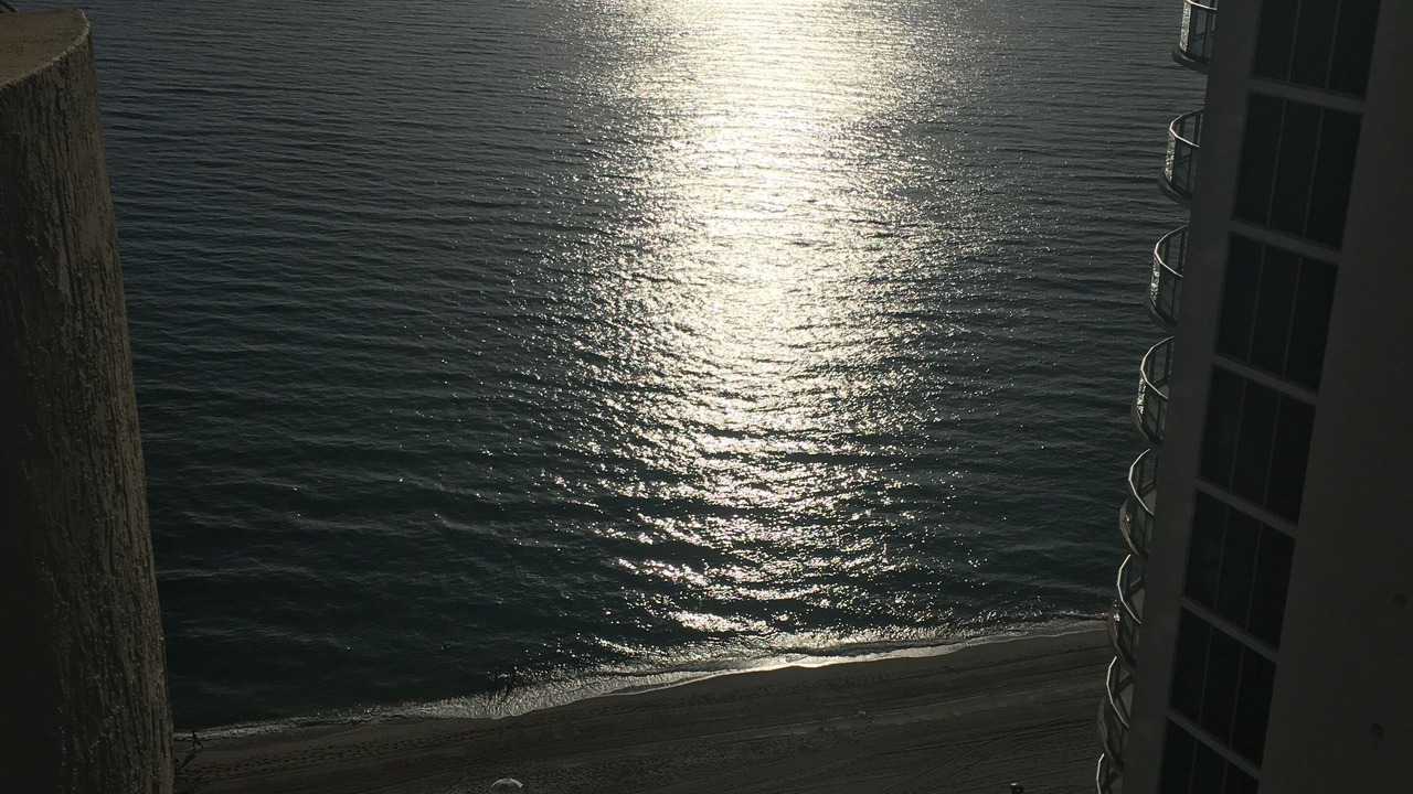 Photo of Others in Sunny Isles Beach