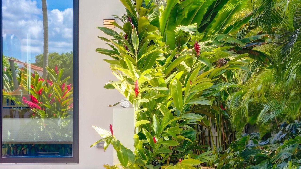 Photo of Outdoor in Miami Shores