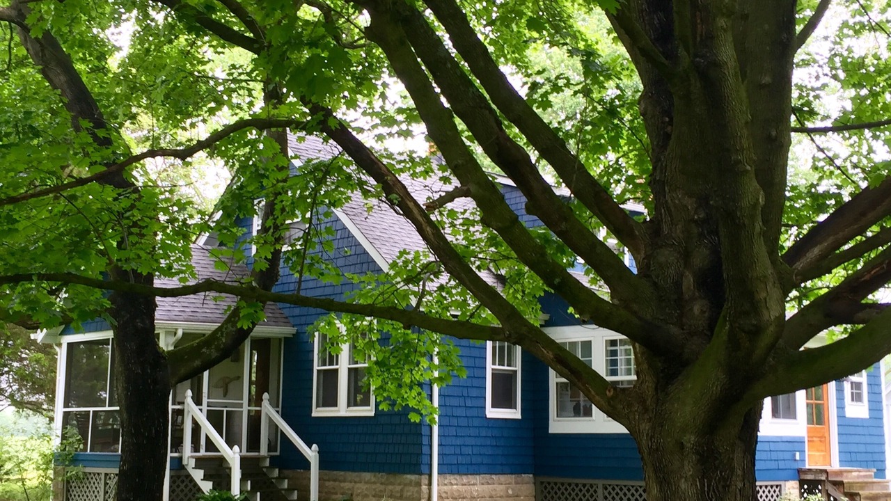 Photo of Outdoor in Denton