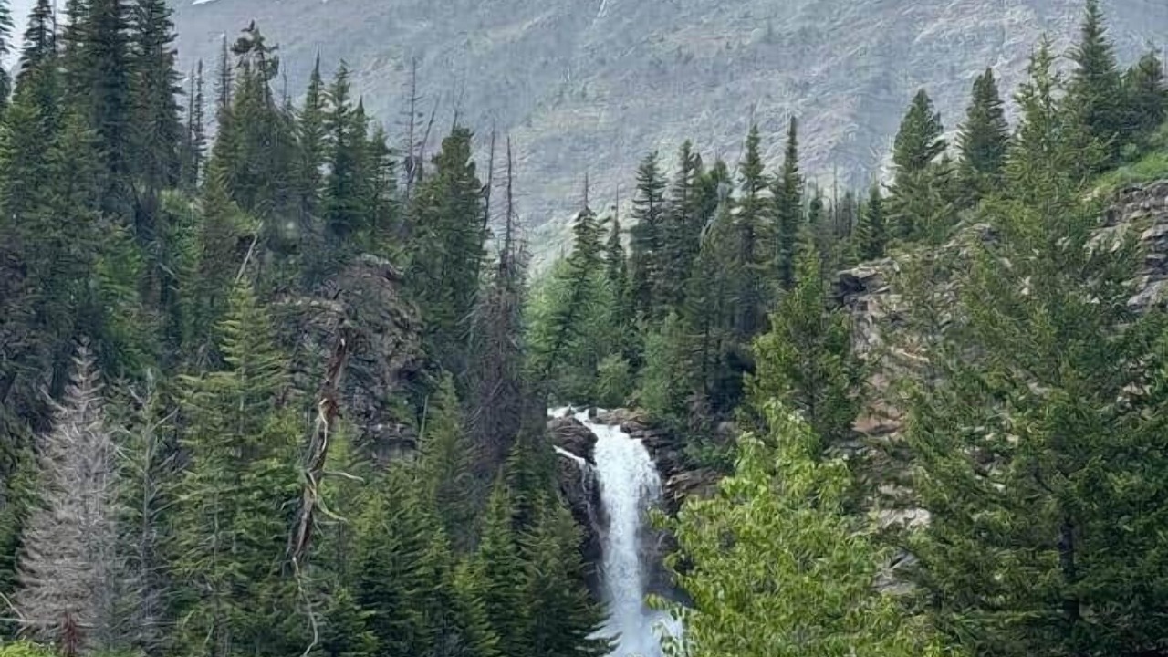 Photo of Others in East Glacier Park