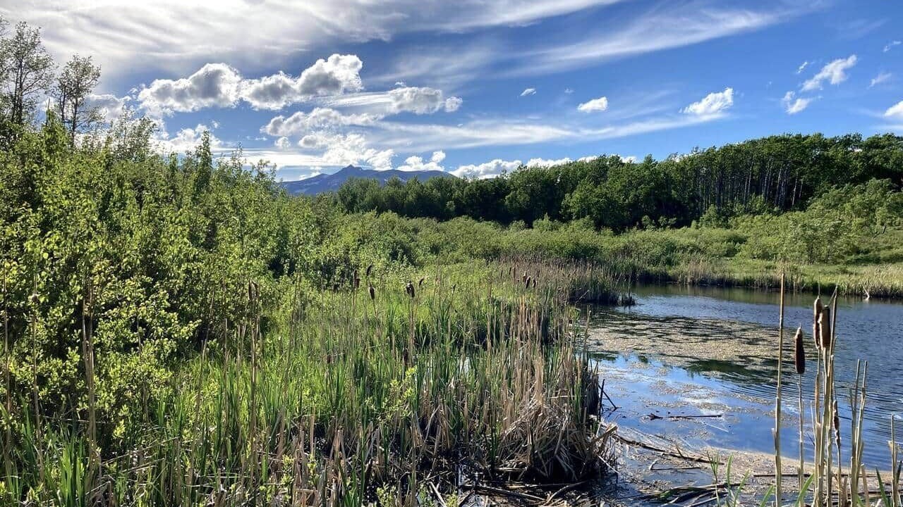 Photo of Others in East Glacier Park