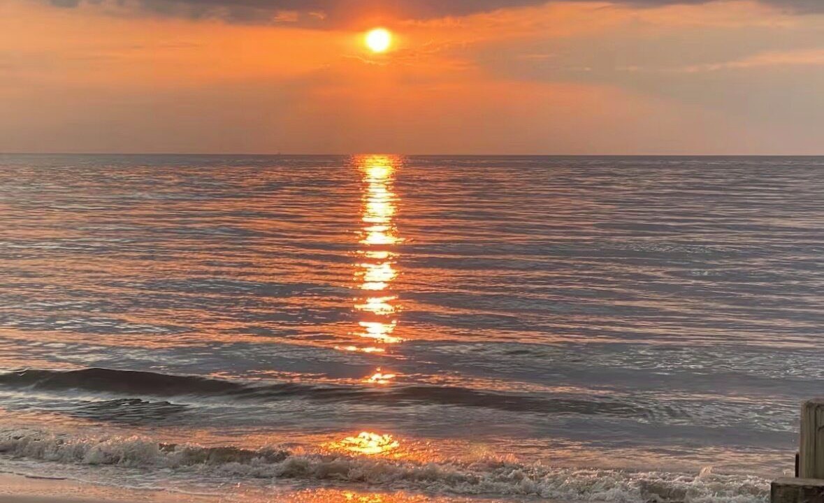 Photo of Others in North Cape May