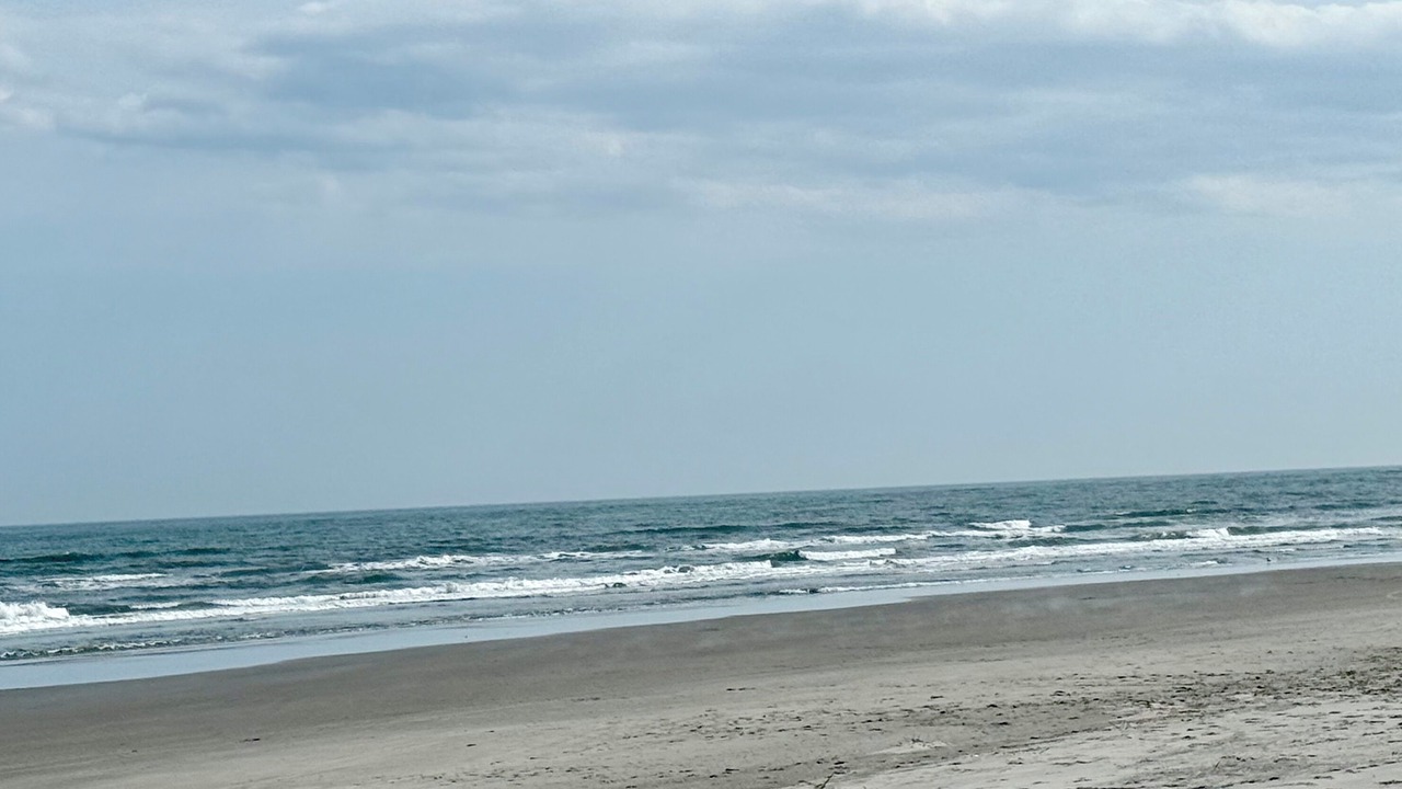 Photo of Others in Cape May - Wildwood