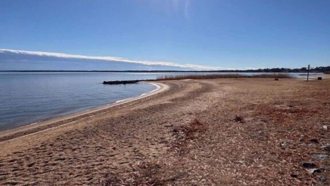 Photo of Others in Colonial Beach