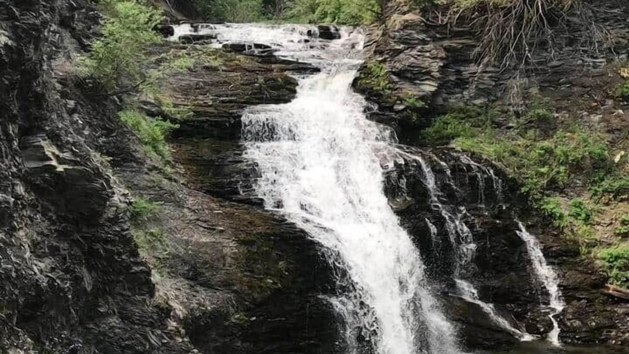 Photo of Others in East Glacier Park