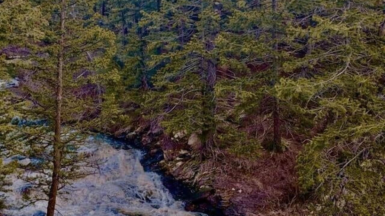 Photo of Others in East Glacier Park