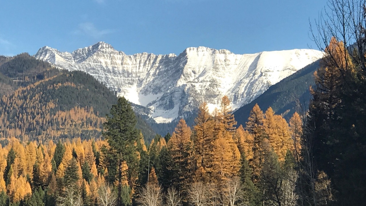 Photo of Others in Bigfork