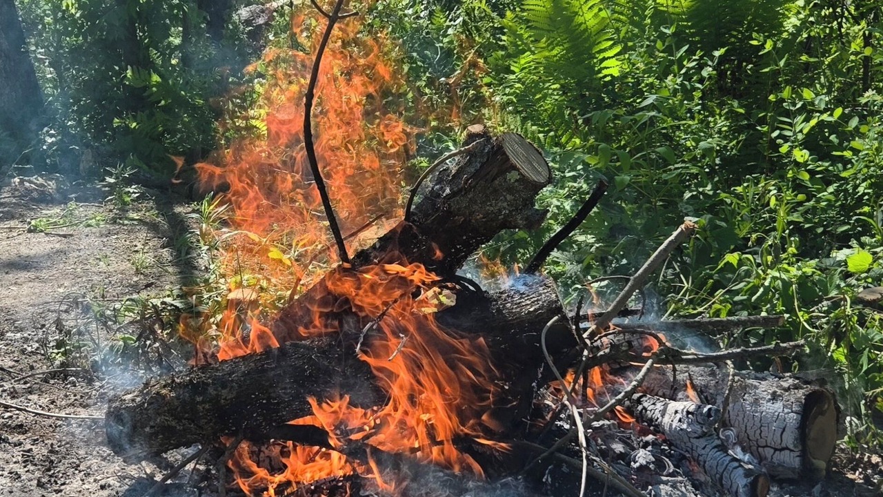 Photo of Others in Broadalbin