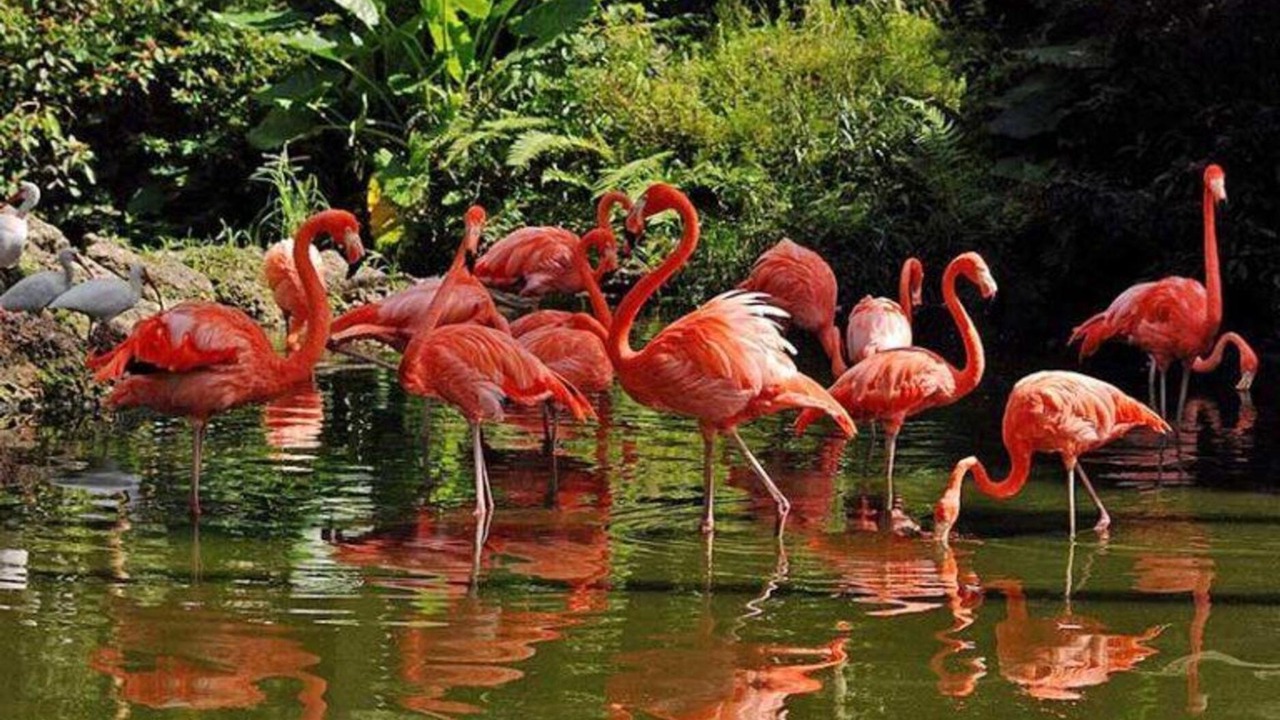 Photo of Others in Pembroke Pines