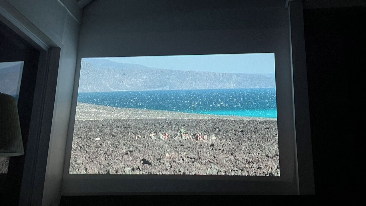 Photo of Others in Phoenicia