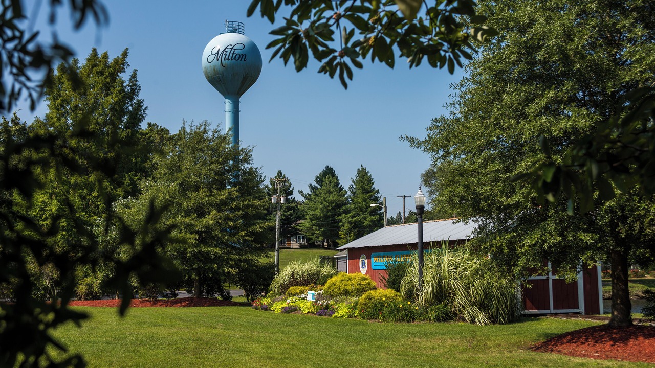 Photo of Others in Milton