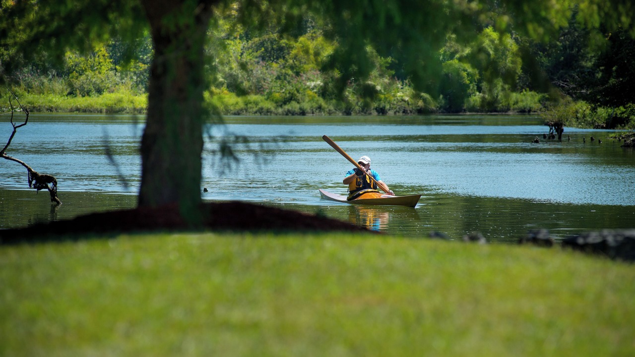 Photo of Others in Milton